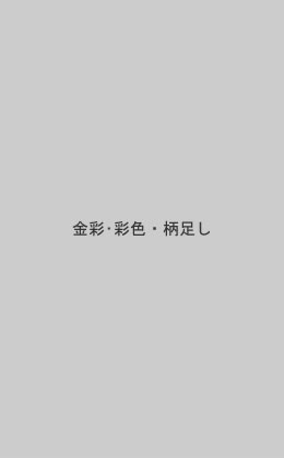 金彩・彩色・柄足し